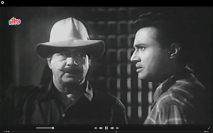 Screen Shot 2015-02-25 at 13.22.58